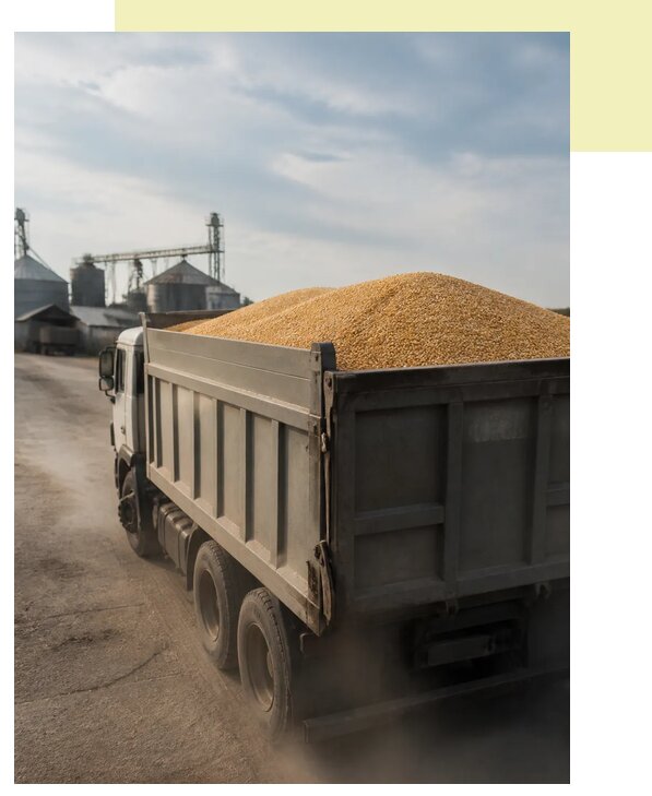 Перевозка сельхозпродукции навалом в Каменск-Уральского по цене от 3191 р. | Агросервис-Кмн