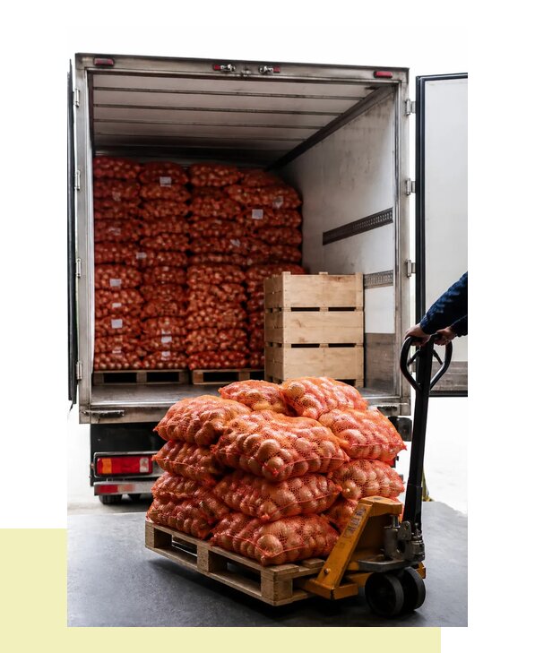 Перевозка репчатого лука оптом автотранспортом в Каменск-Уральского